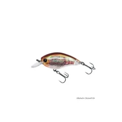 Poisson Nageur Yo-Zuri 3DR Shallow Crank
