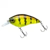 Poisson Nageur Yo-Zuri 3DR X Crank SR F 5cm