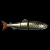 Poisson Nageur Zerek Affinity 22cm